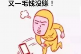 藤县融资清欠服务